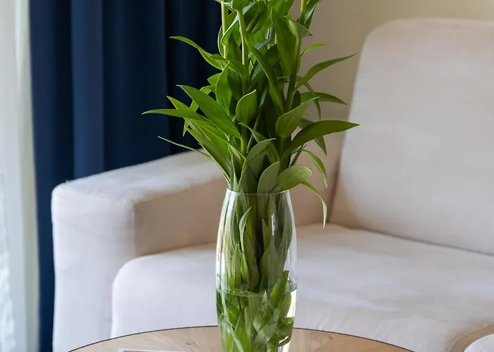 绍达迪酒店 酒店